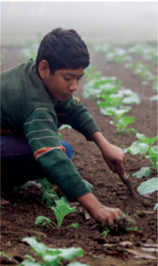 A page of a book with a child holding a bird

Description automatically generated